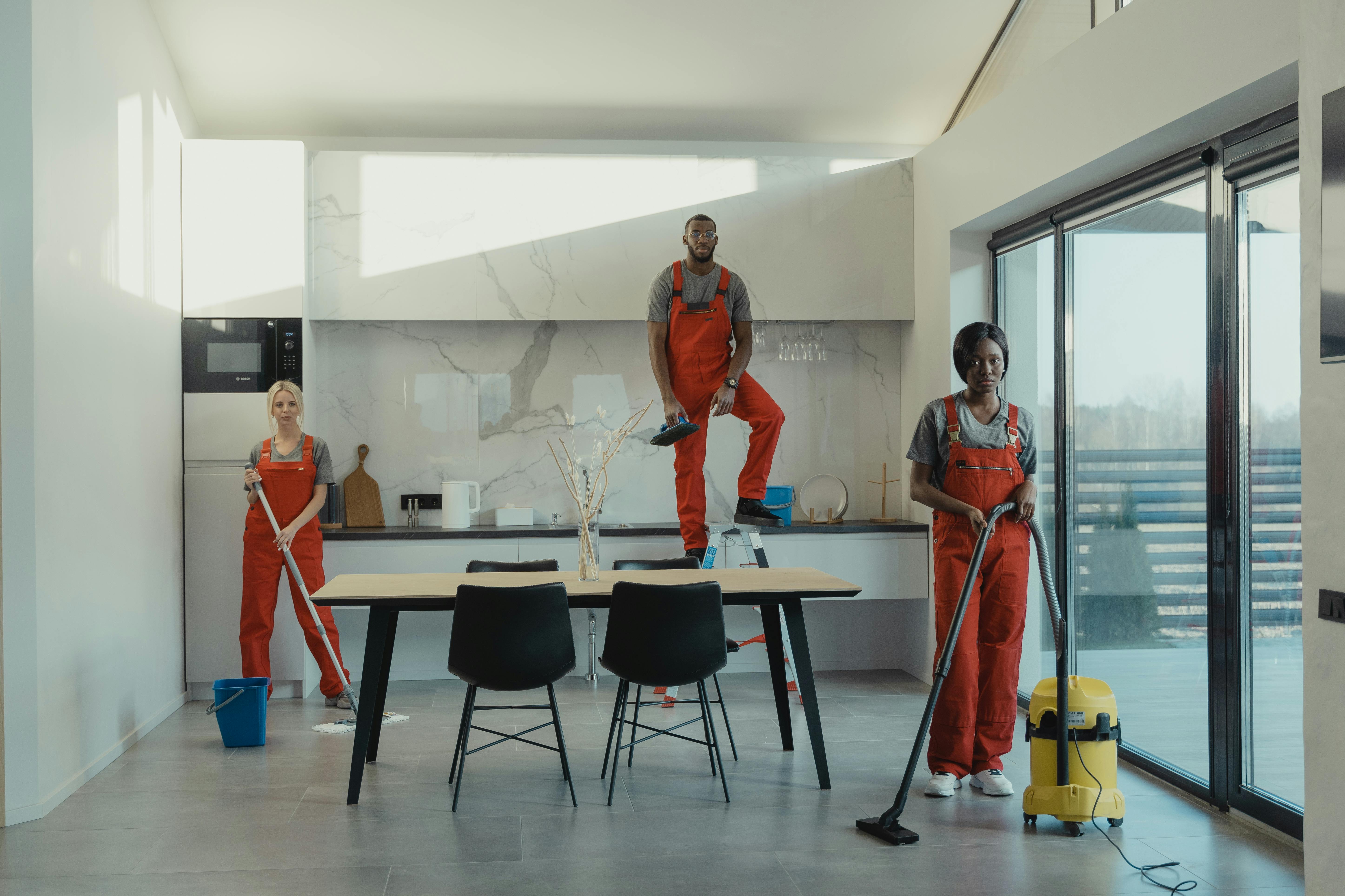 Cleaner (Home & Office)